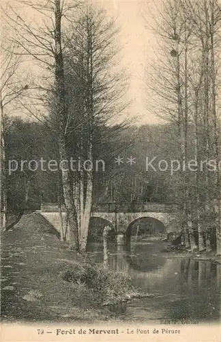 AK / Ansichtskarte Mervent Foret de Mervent Le Pont de Perure Mervent