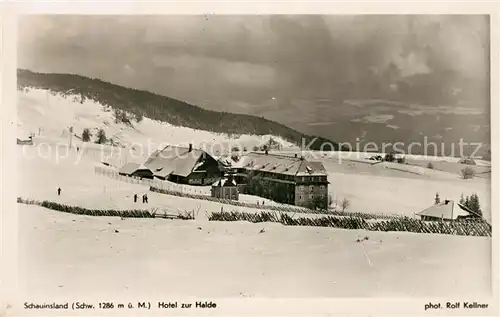 AK / Ansichtskarte Schauinsland Hotel zur Halde Winterlandschaft Schwarzwald Schauinsland
