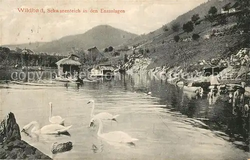 AK / Ansichtskarte Bad_Wildbad Schwanenteich in den Enzanlagen Kurort im Schwarzwald Bad_Wildbad