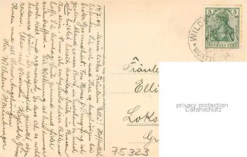 AK / Ansichtskarte Bad_Wildbad Schwanenteich in den Enzanlagen Kurort im Schwarzwald Bad_Wildbad