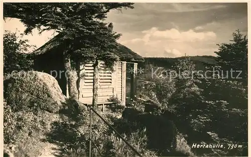 AK / Ansichtskarte Hertahuette am Falkenfelsen Schwarzwald Hertahuette