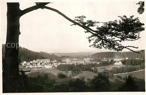 AK / Ansichtskarte Maiche Montjoie et vue generale depuis le vieux Chateau Maiche