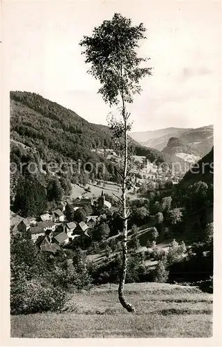 AK / Ansichtskarte Wildenstein_Haut Rhin Cure d air Landschaftspanorama Wildenstein_Haut Rhin