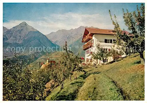 AK / Ansichtskarte Schenna_Meran Pension Hohenwart Schenna Meran