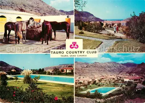 AK / Ansichtskarte Gran_Canaria Tauro Country Club Details Gran Canaria