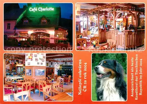 AK / Ansichtskarte Zelezna_Ruda_Markt_Eisenstein Cafe Charlotte Gastraeume Collie Zelezna_Ruda