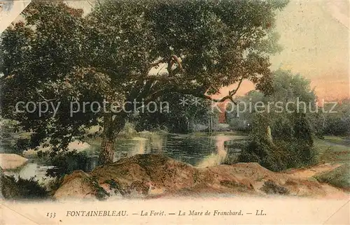 AK / Ansichtskarte Fontainebleau_Seine_et_Marne La Foret La Mare de Franchard Fontainebleau_Seine