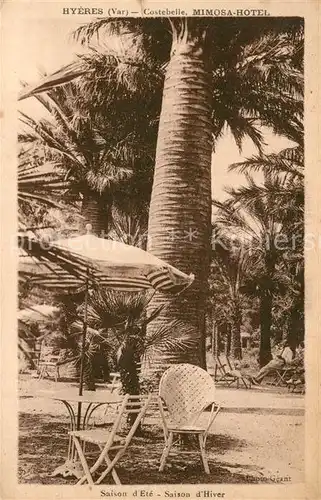 AK / Ansichtskarte Costebelle Mimosa Hotel Costebelle
