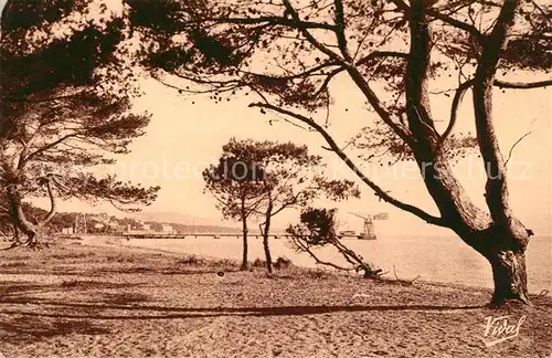 AK / Ansichtskarte Hyeres_les_Palmiers La Plage Hyeres_les_Palmiers