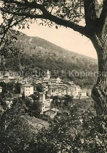 AK / Ansichtskarte Saint Martin Vesubie La Suisse Nicoise Station climatique Saint Martin Vesubie