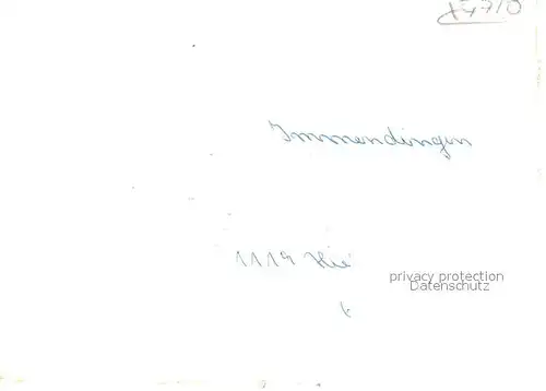 AK / Ansichtskarte Immendingen Rathaus Immendingen