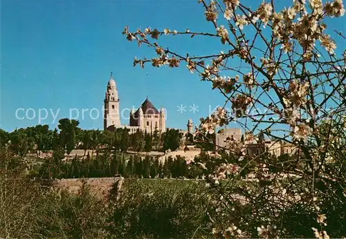 AK / Ansichtskarte Jerusalem_Yerushalayim Zions Berg Baumbluete Jerusalem_Yerushalayim