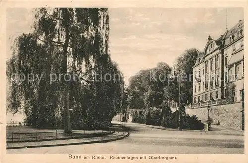 AK / Ansichtskarte Bonn_Rhein Rheinanlagen Oberbergamt Bonn_Rhein