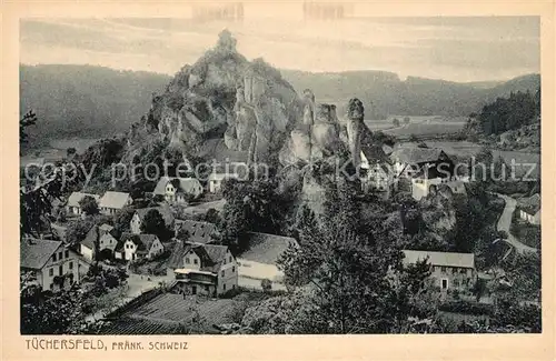 AK / Ansichtskarte Tuechersfeld Panorama Tuechersfeld