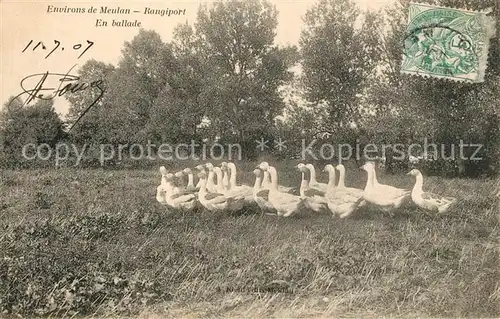 AK / Ansichtskarte Rangiport En ballade Gaense Gaensemarsch 