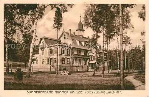AK / Ansichtskarte Hammer_See Neues Kurhaus Waldhof Sommerfrische Hammer_See