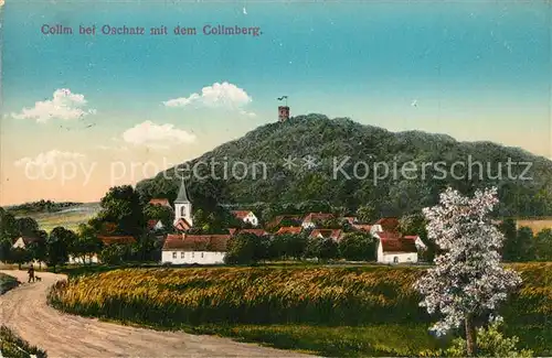 AK / Ansichtskarte Collm Ortsansicht mit Kirche Blick zum Collmberg Collm