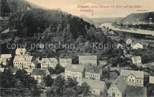 AK / Ansichtskarte Krippen_Bad_Schandau Panorama Blick auf das Elbtal mit Lilienstein Elbsandsteingebirge Krippen_Bad_Schandau