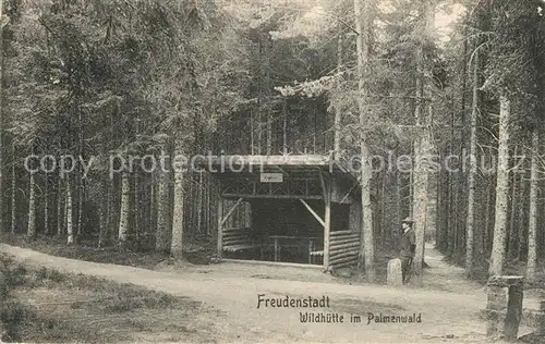AK / Ansichtskarte Freudenstadt Wildhuette im Palmenwald Freudenstadt
