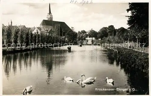 AK / Ansichtskarte Ehingen_Donau Krockensee Schwaene Kirche Ehingen Donau