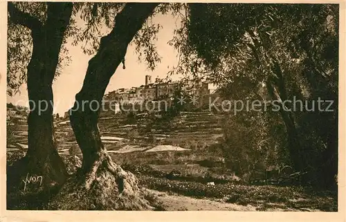 AK / Ansichtskarte Saint_Paul_Cote_d_Azur La Ville les Oliviers Saint_Paul_Cote_d_Azur