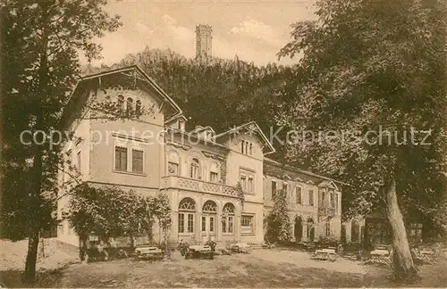 AK / Ansichtskarte Rochlitz_Sachsen Hotel Pension Rochlitzer Berg Rochlitz Sachsen