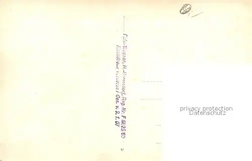 AK / Ansichtskarte Sebnitz Panorama Blumenstadt Sebnitz