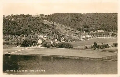 AK / Ansichtskarte Diesbar Seusslitz Panorama mit Blick zum Golkwald Diesbar Seusslitz
