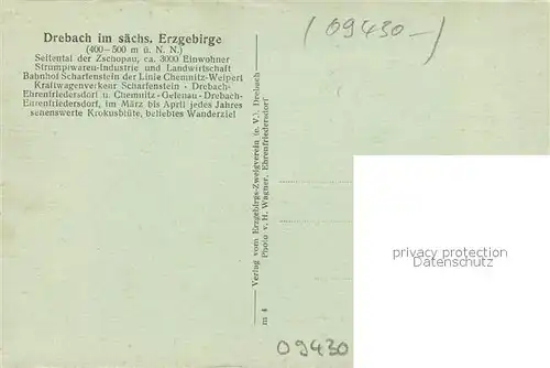 AK / Ansichtskarte Drebach Krokuswiese Natur Blumen Drebach