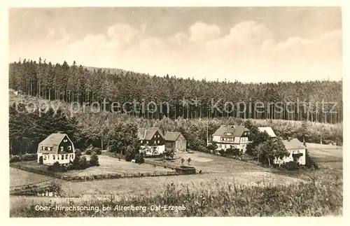 AK / Ansichtskarte Oberhirschsprung Haeuser am Waldrand Oberhirschsprung