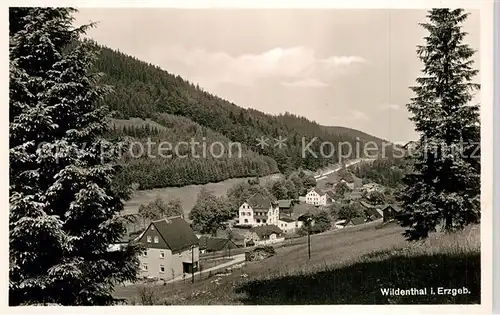 AK / Ansichtskarte Wildenthal_Eibenstock Panorama Luftkurort Wildenthal_Eibenstock