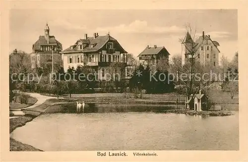 AK / Ansichtskarte Bad_Lausick Villenkolonie Schwanenteich Bad_Lausick