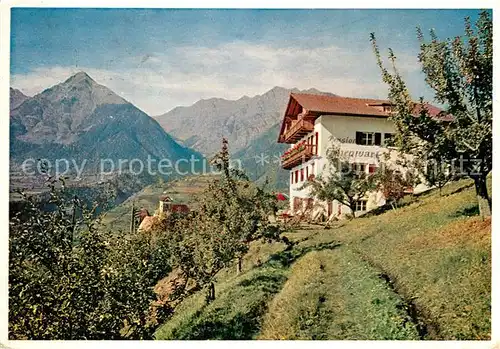 AK / Ansichtskarte Schenna_Meran Pension Hohenwart Schenna Meran