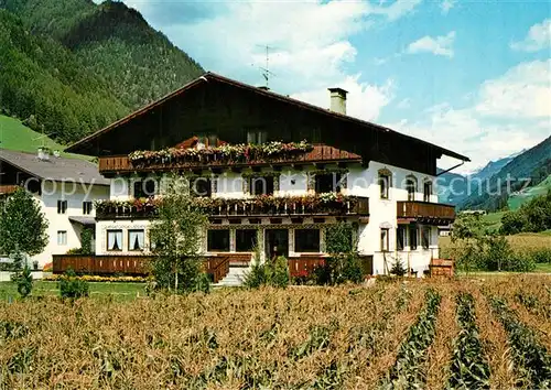 AK / Ansichtskarte Steinhaus_Ahrntal Pension Alpenland Steinhaus Ahrntal