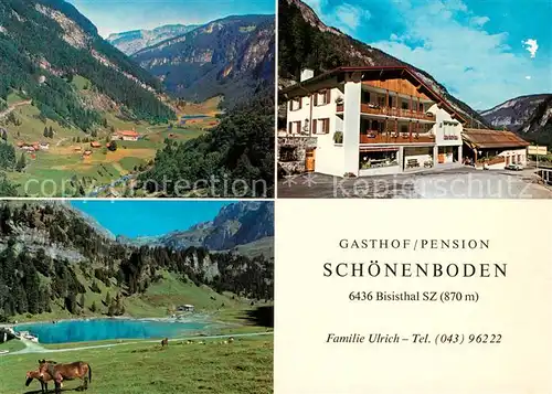 AK / Ansichtskarte Bisisthal Gasthof Pension Schoenenboden Panorama Seeblick Bisisthal
