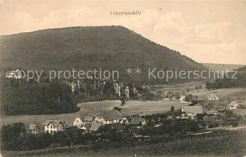 AK / Ansichtskarte Herrenalb_Bad Panorama Herrenalb_Bad