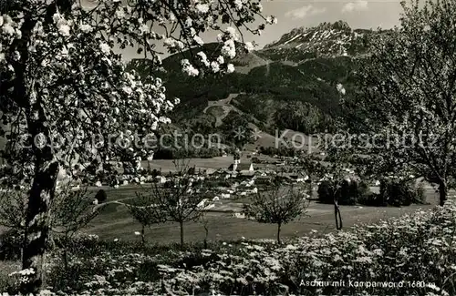 AK / Ansichtskarte Aschau_Chiemgau Panorama mit Kampenwand Chiemgauer Alpen Baumbluete Aschau Chiemgau