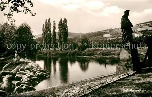 AK / Ansichtskarte Bad_Mergentheim Panorama Schafherde Bad_Mergentheim