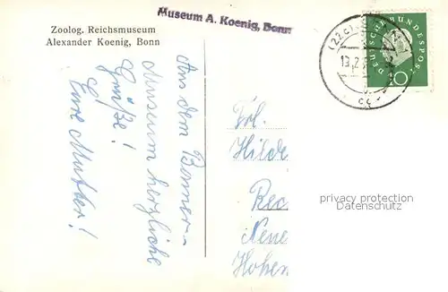 AK / Ansichtskarte Bonn_Rhein Zoolog Reichsmuseum Erster Stock Durchblick Bonn_Rhein