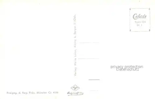 AK / Ansichtskarte Alzing_Traunstein mit Hochfelln und Hochgern Alzing_Traunstein