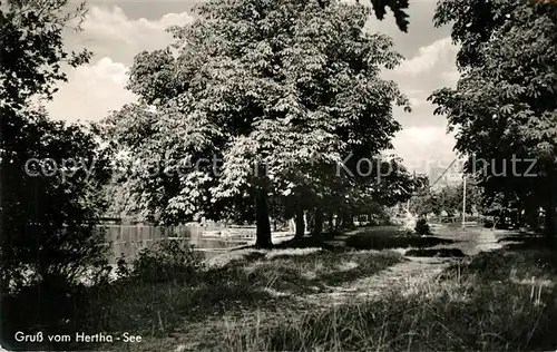 AK / Ansichtskarte Herthasee Teilansicht Herthasee
