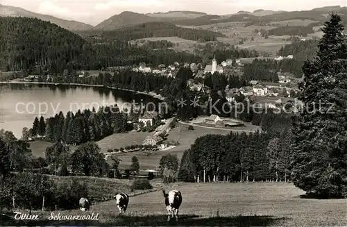 AK / Ansichtskarte Titisee Panorama Titisee