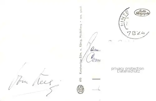 AK / Ansichtskarte Titisee Panorama Titisee