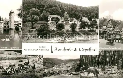 AK / Ansichtskarte Krausenbach Jugendherberge Landschaftspanorama Schloss Mespelbrunn Wild Miltenberg Schnatterloch Fachwerkhaeuser Krausenbach