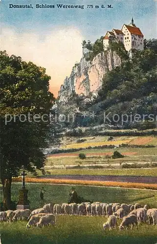 AK / Ansichtskarte Donautal Schloss Werenwag Donautal