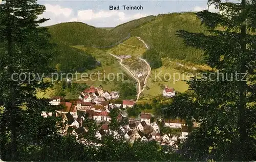 AK / Ansichtskarte Bad_Teinach Zavelstein Panorama Bad_Teinach Zavelstein