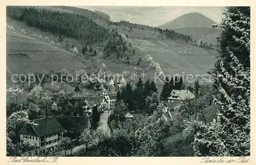 AK / Ansichtskarte Bad_Griesbach_Schwarzwald  Panorama Bad_Griesbach