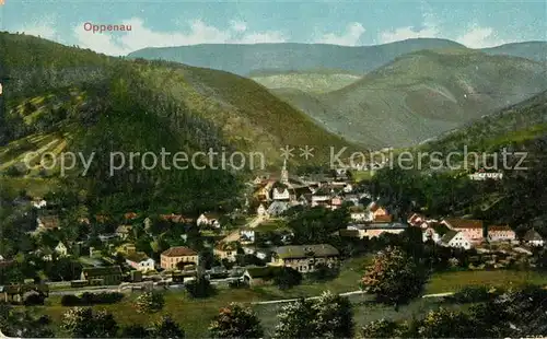AK / Ansichtskarte Oppenau Panorama Oppenau