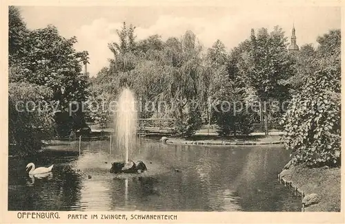 AK / Ansichtskarte Offenburg Zwinger Schwanenteich Offenburg