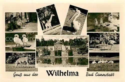 AK / Ansichtskarte Bad_Cannstatt Wilhelma Tiergehege Bad_Cannstatt